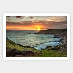 Fall Bay, Gower Sticker